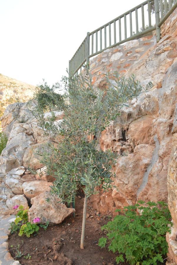 Delfinaki Boutique Apartments Lionas Beach ,Naxos Exterior photo